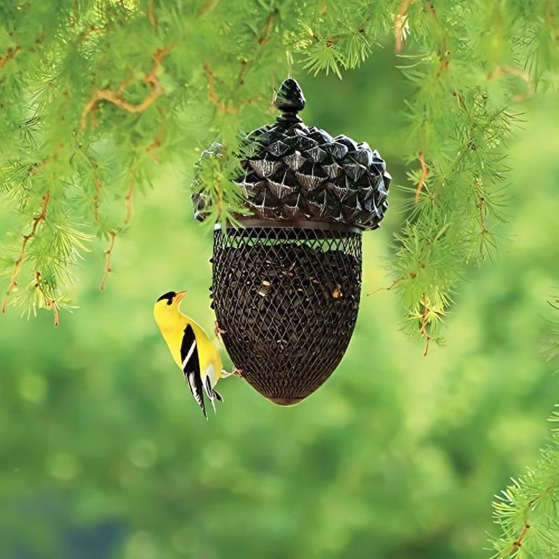 Hummingbird Acorn Wrought Iron Bird Feeder
