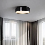 Stylish Ceiling Lamp for Living Room