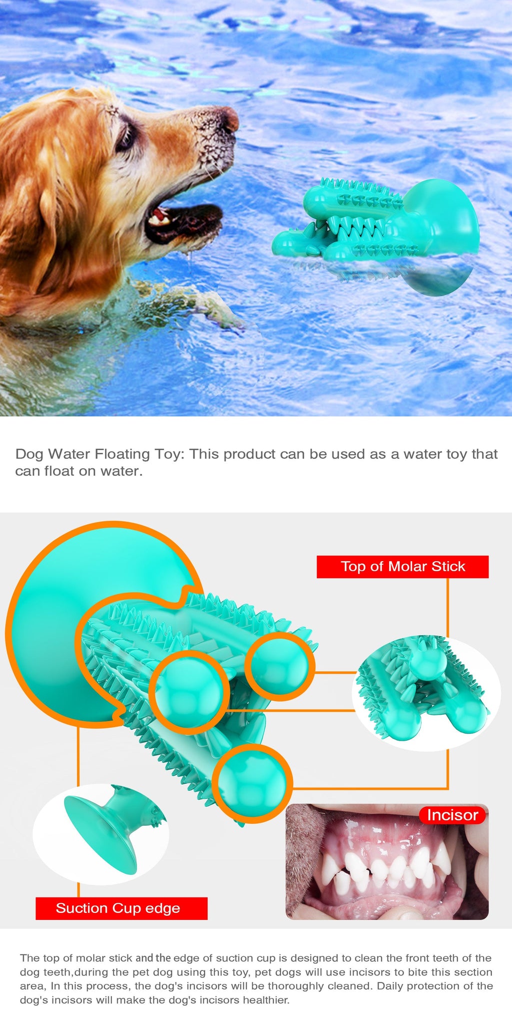 Cactus‑Shaped Dog Toothbrush / For Dogs