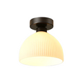 Modern Ceiling Lamp