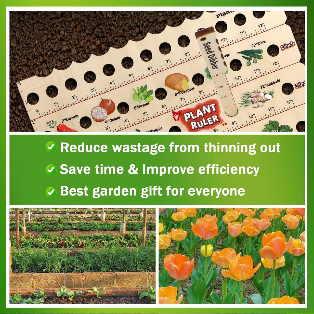 Wood Plant Ruler – Multifunctional Seed Measuring Tool for Garden