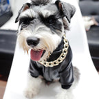 Pet Jewelry Thick Gold Chain Collar
