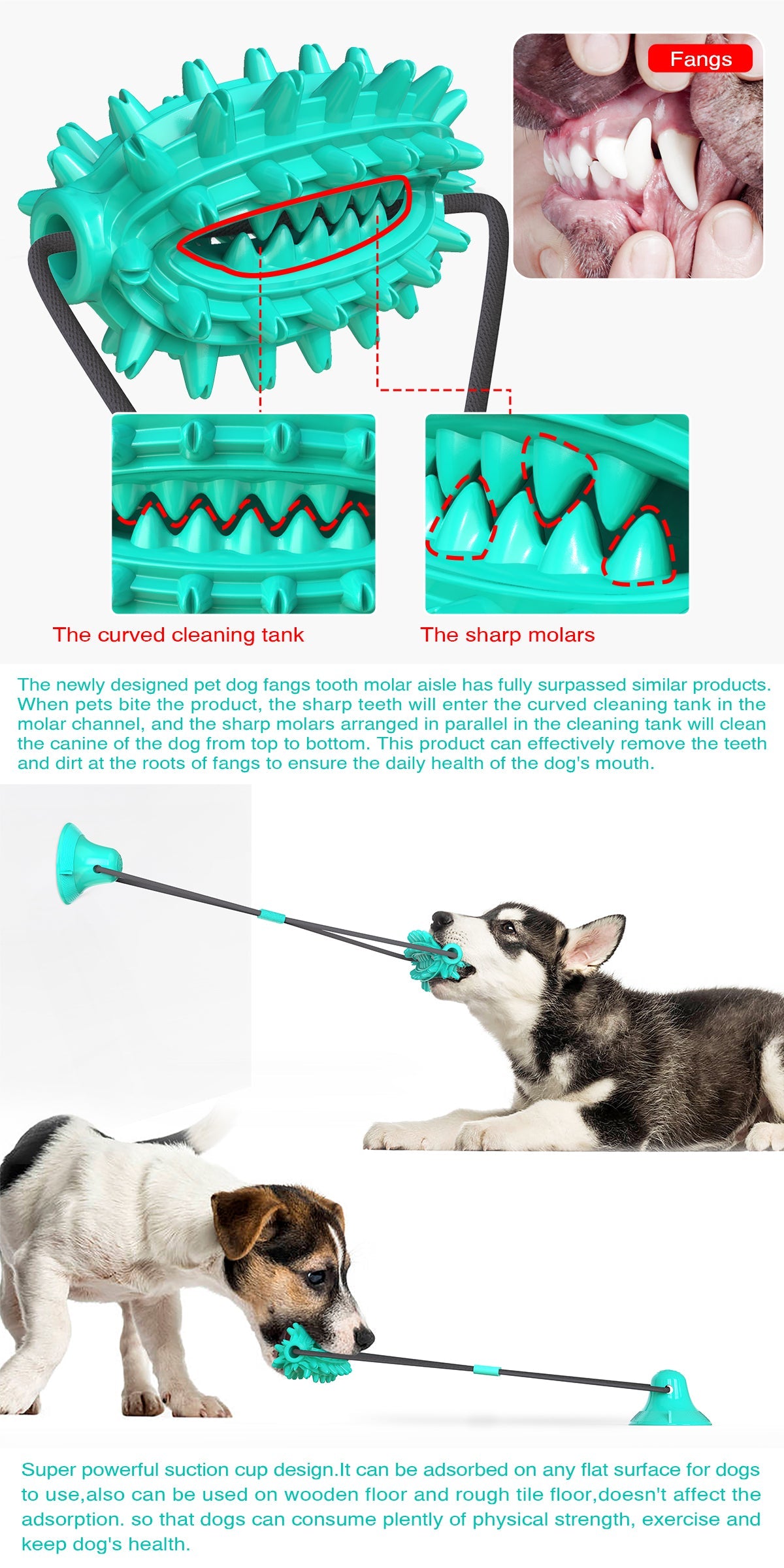 Single Suction Cup Cactus Chew Ball for Dogs