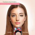 Mushroom Air Cushion CC Cream