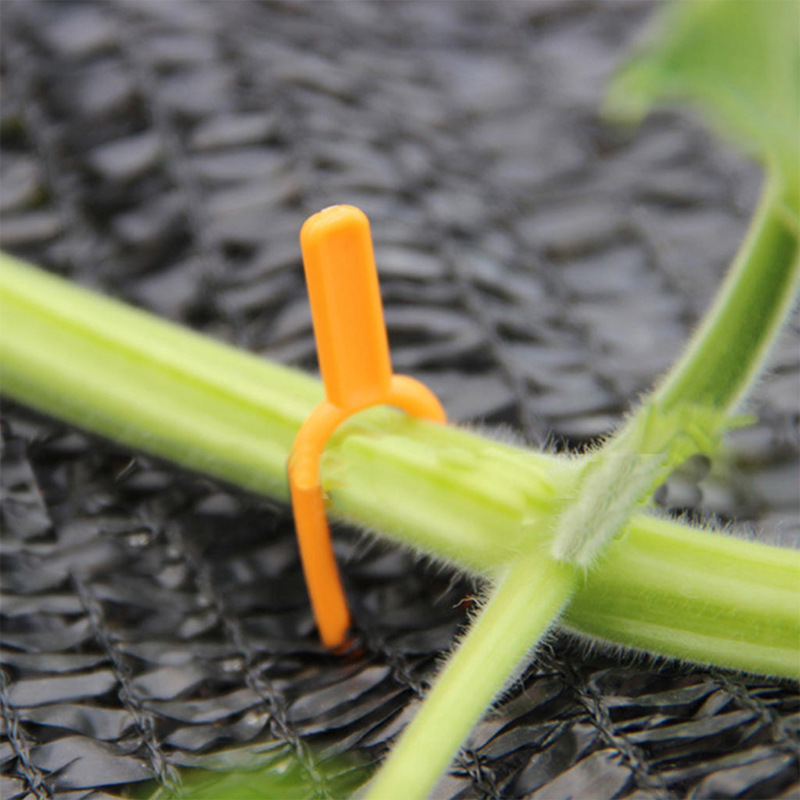 Garden plants support clamps made of plastic for optimal plant stability