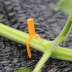 Garden plants support clamps made of plastic for optimal plant stability