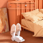 Telephone and Foldable Shoe Dryer