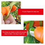 (50% Off Today) Harvest vegetables, harvest fruits thumb measure
