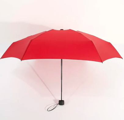 Mini Pocket Umbrella