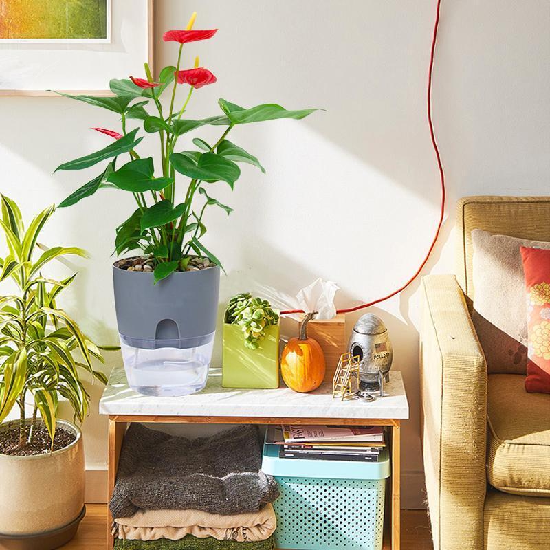 Self-watering Hydro-Flower Pot