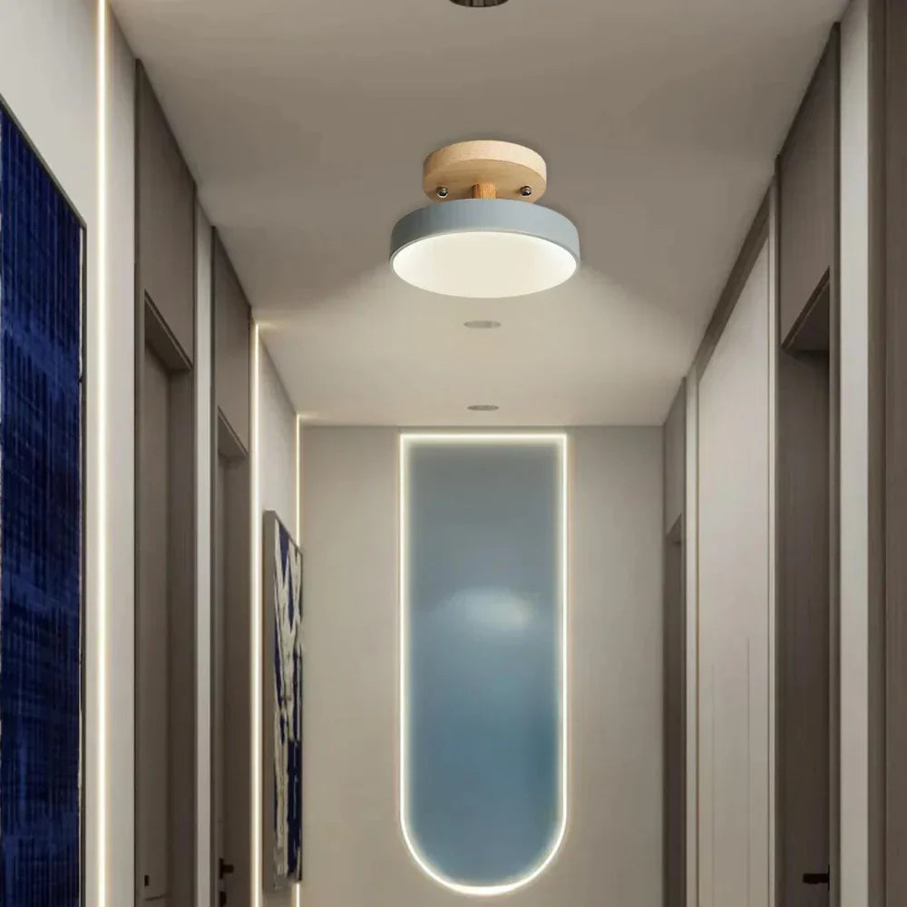 Compact Modern LED Ceiling Lamp