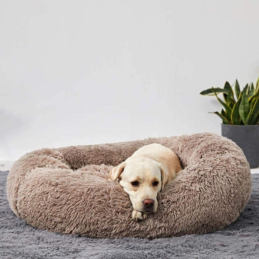 Orthopedic Plush Donut Dog Bed