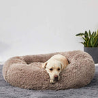 Orthopedic Plush Donut Dog Bed