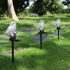 FeatherLight Solar-Powered Night Décor