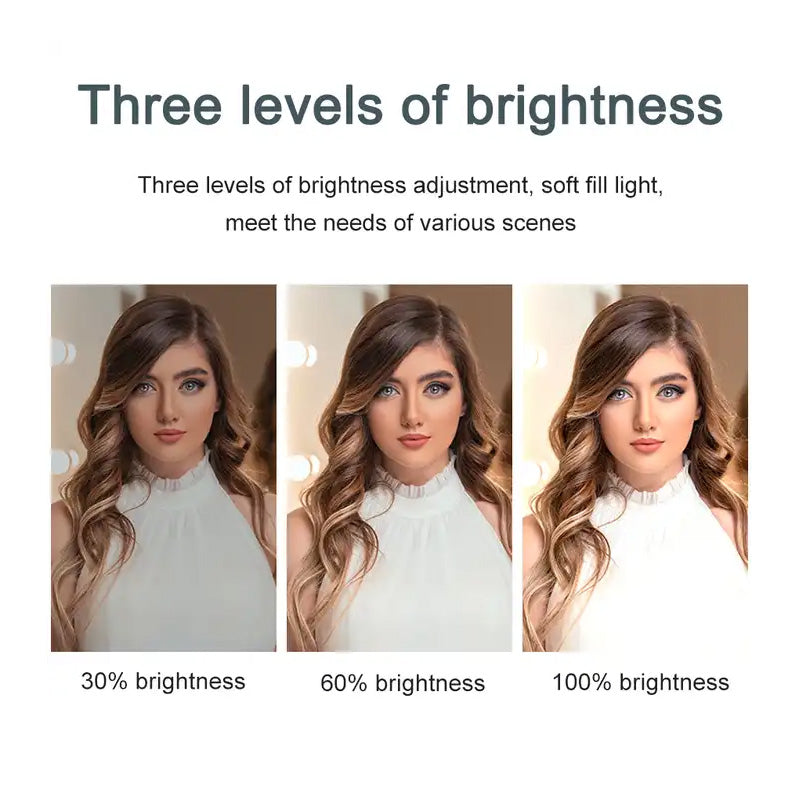 Spotlight with Microphone Kit