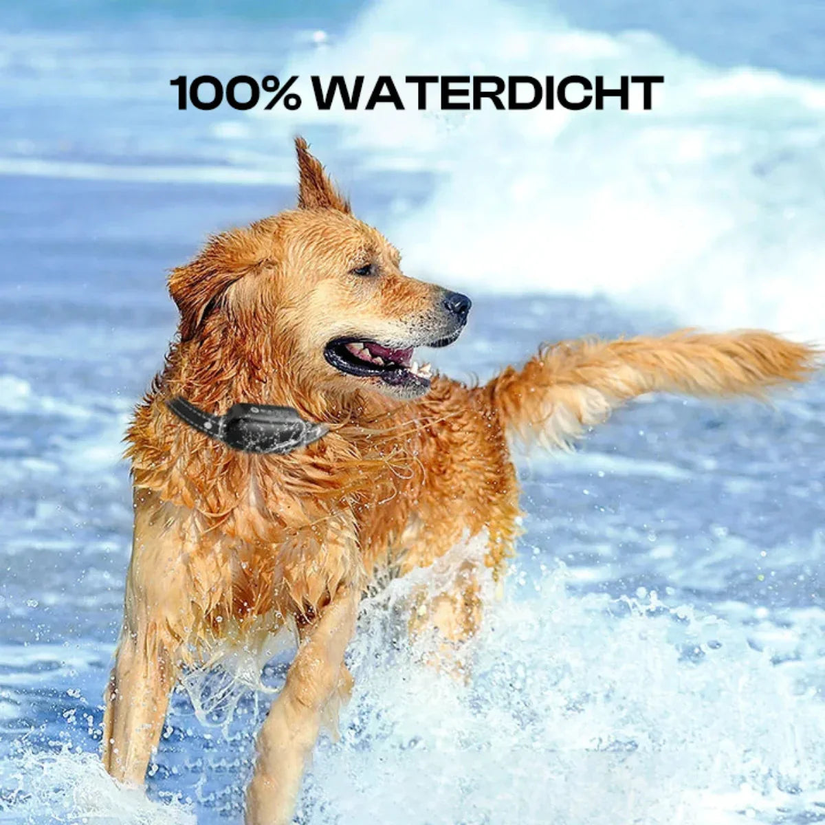 Electric Dog Training Collar with Remote Control, Waterproof, 16 Adjustable Shock Levels, 1000m Range, Beep & Vibration Modes
