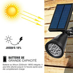 Decorative solar light for the garden