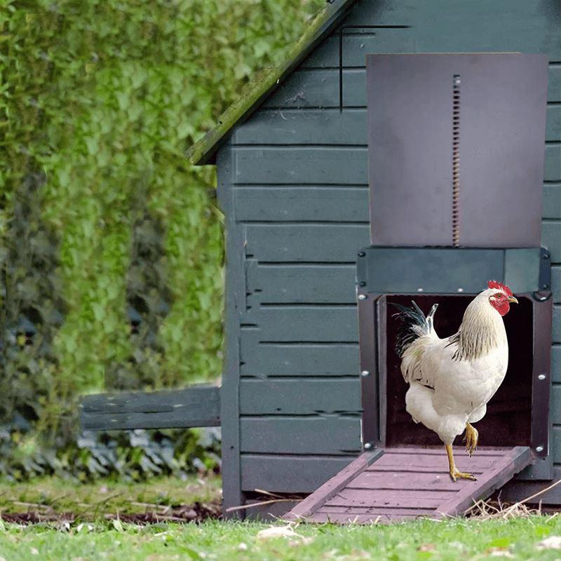 Poultry Farm Automatic Chicken Coop Door
