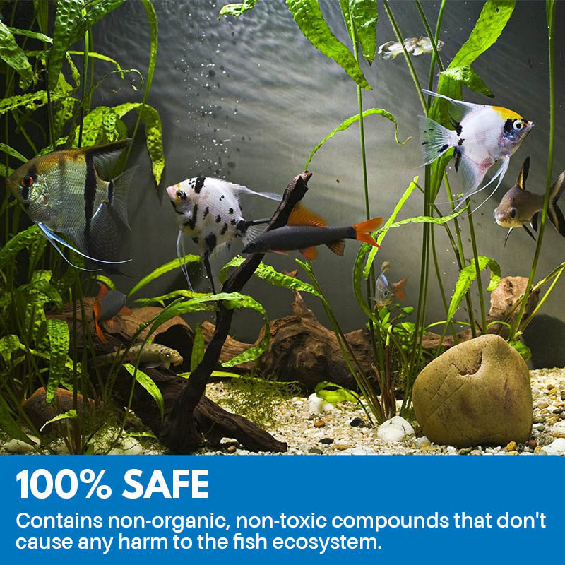 Aquarium Cleaning Powder