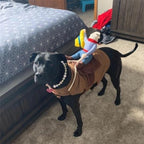 The Cowboy Rider Dog Costume