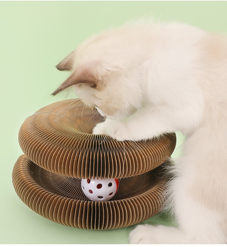 Magic Cat Scratch Board(with ball )