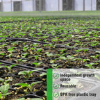 Rectangular Plant Bowl – Seedling Tray for Efficient Germination and Growth of Seedlings