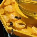 BuzziNest — Protect your bees and make your garden a blooming dream of life!
