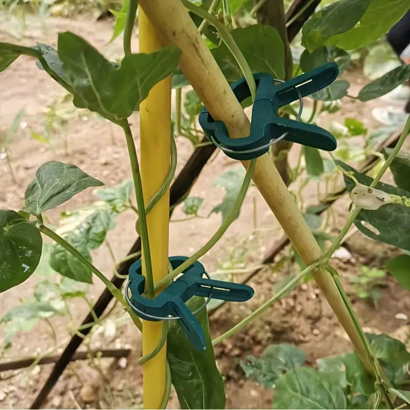 Garden clip set – plant loops for plant supports and garden care