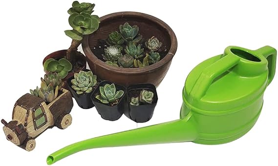 Watering can with long spout for precise and easy watering