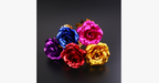 24K Always Gold Plated Rose - Various Colors