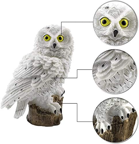 SolarGlow Garden Lamp | Eco-friendly solar lamp for a vibrant outdoor ambiance