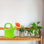 Children's watering can with flower mouth – Colorful plastic watering can for little gardeners