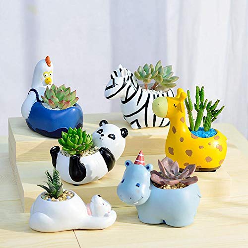 Animal Plant Pots – Funny Animal Designs for Succulents and Cacti