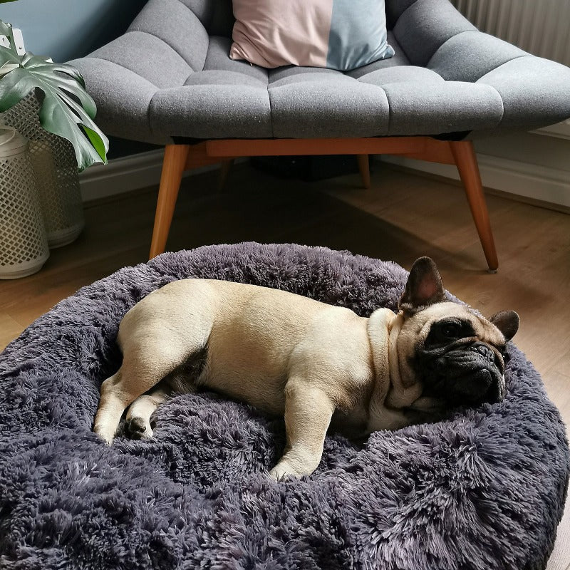 Beef Plush Calming Donut Dog Bed for Small to Large Dogs