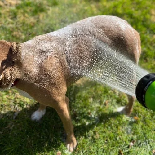 Multi-mode Dog Bath Foaming Water Gun