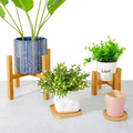 Wooden Plant Pot Trays