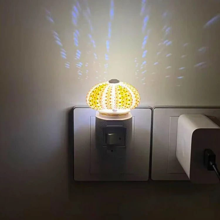 LumiCraft – Unique DIY table lamp with natural sea shell for a cozy décor