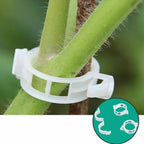 Plant support clip for climbing plants – Flexible holder for plant stems