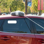 Expandable Duster with Extension Pole for Corners and Ceilings