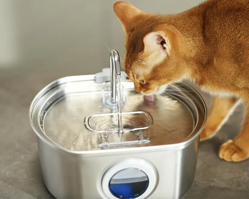 Ultra-Quiet Stainless Steel Pet Water Fountain with Triple Filtration System - 108.2oz Capacity for Cats and Dogs