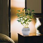 Illuminated Olive Tree LED Lamp – Modern Decor for Festive Occasions, Weddings, Birthdays, and Party Atmosphere, Ideal for Dining Table, Cabinet, or Café Decor