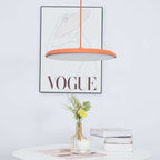 Hanging Lamp with a Simple Form for Modern Interiors