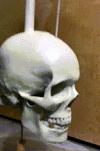 Iron Skull Whirligig - Garden Decor