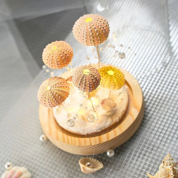LumiCraft – Unique DIY table lamp with natural sea shell for a cozy décor