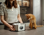 Ultra-Quiet Stainless Steel Pet Water Fountain with Triple Filtration System - 108.2oz Capacity for Cats and Dogs