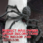 WebCreeper Halloween Decoration Set – 2 Giant Spiders 50cm with Stretchy Spider Web