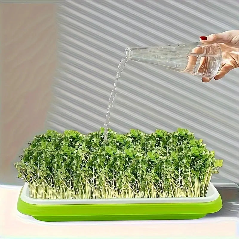 Germination trays with lid – Double-layer seed sowing tray for effective seed germination