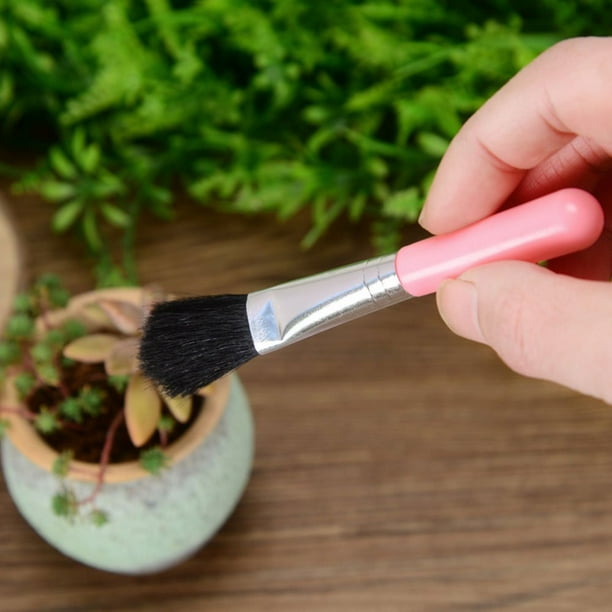 Combination set for succulent planting tools – Practical set for care and planting