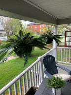 Lifelike Greenery Decor Fern