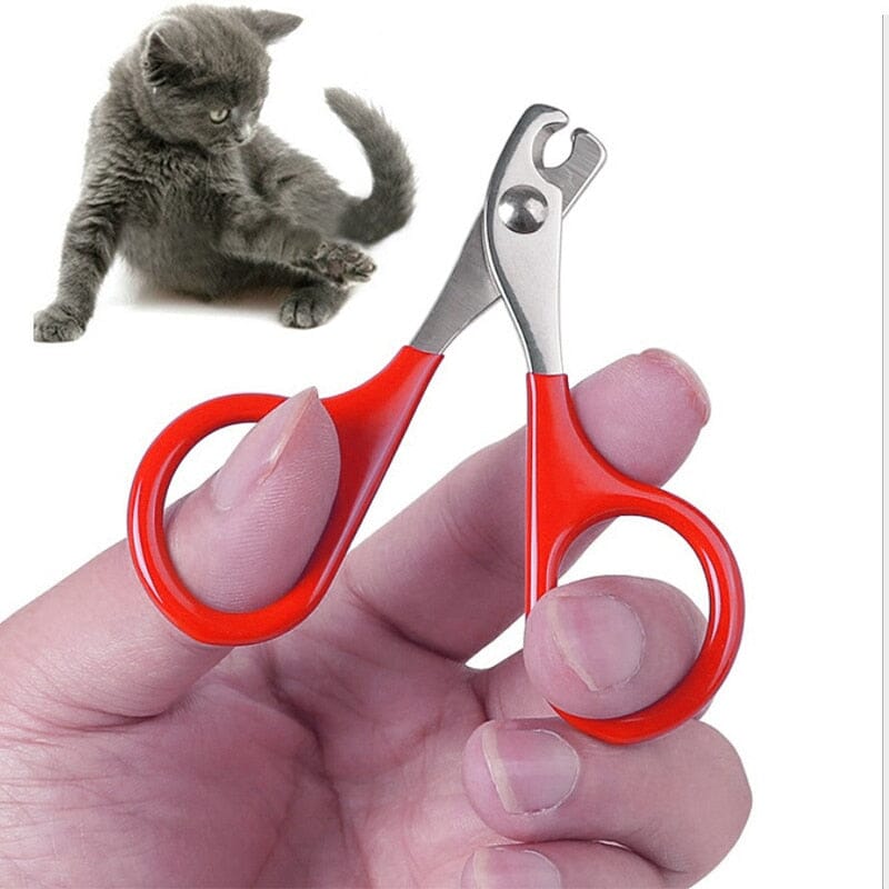 Nail Clipper